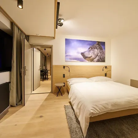 Labska 20 - Apartmanovy Dum Spindleruv Mlyn
