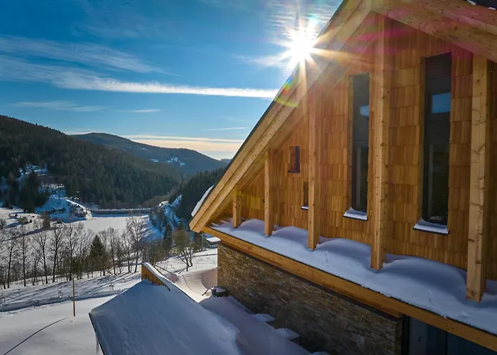 Labska 20 - Apartmanovy Dum * Špindlerŭv Mlýn