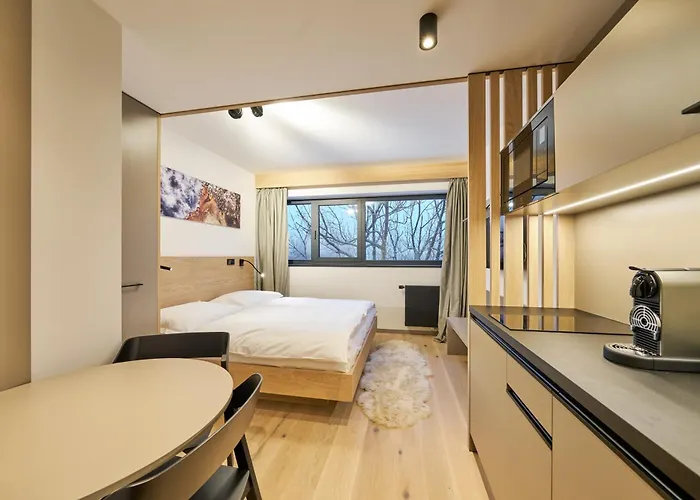 Appartement Labska 20 - Apartmanovy Dum Špindlerŭv Mlýn